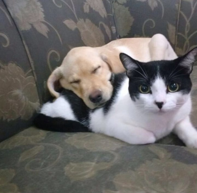 foto